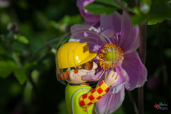 Bob_July17_18