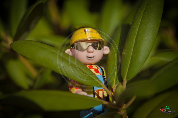 Bob_July17_15