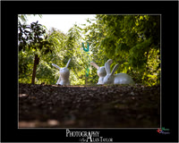 Art photography, Lincoln, UK