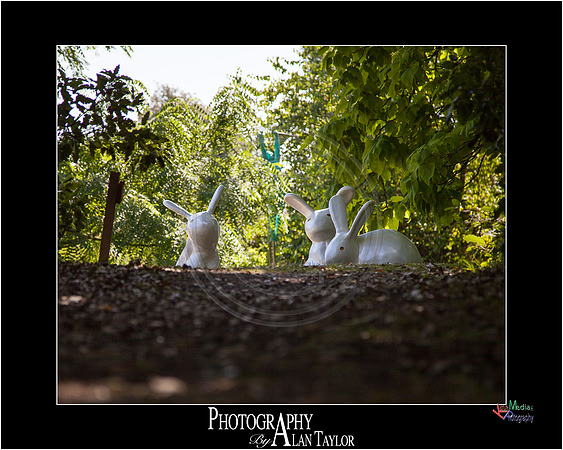 Art photography, Lincoln, UK