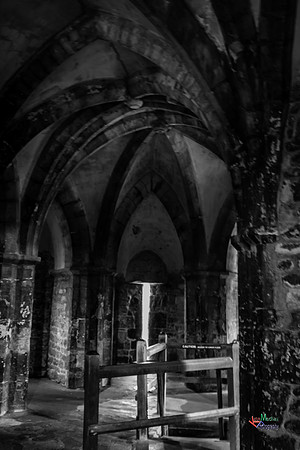 IMG_9228