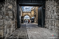 Lincoln City Photographer