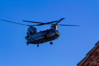 IMG_6777