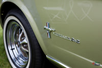 Photographs from Pistons in the Park event