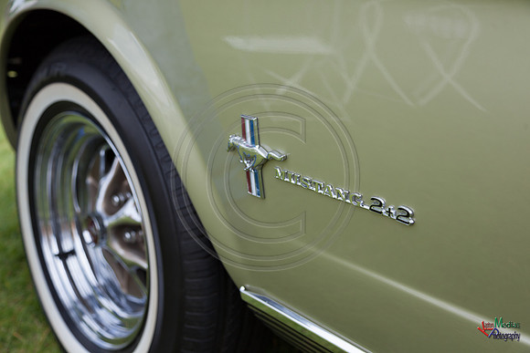 Photographs from Pistons in the Park event