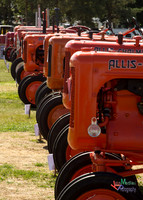 Steam and Traction Engines from Lincoln's Steam Rally 2013