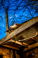 HDR images of Abandoned derelict buildings from around the UK