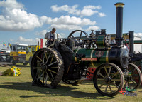 Steam and Traction Engines from Lincoln's Steam Rally 2013