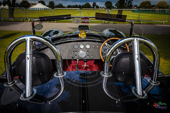 Photographs from Pistons in the Park event