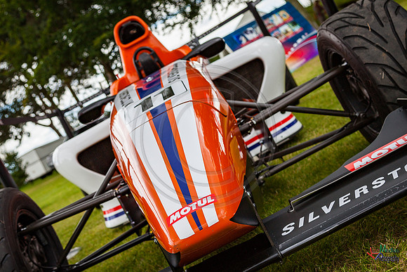 Photographs from Pistons in the Park event