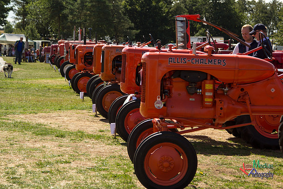 Steam and Traction Engines from Lincoln's Steam Rally 2013