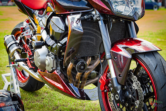 Photographs from Pistons in the Park event