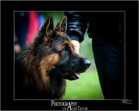_MG_2691-ME