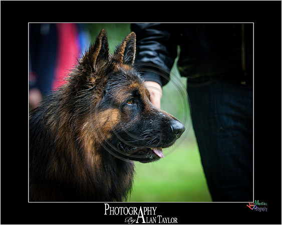_MG_2691-ME