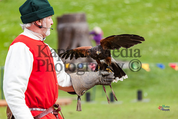 Lincoln Castle Knights Jousting