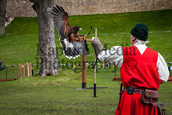 Lincoln Castle Knights Jousting