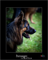 _MG_2687-ME