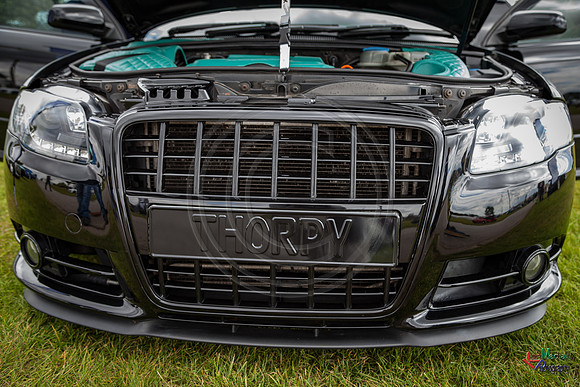 Photographs from Pistons in the Park event
