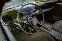 Photographs from Pistons in the Park event