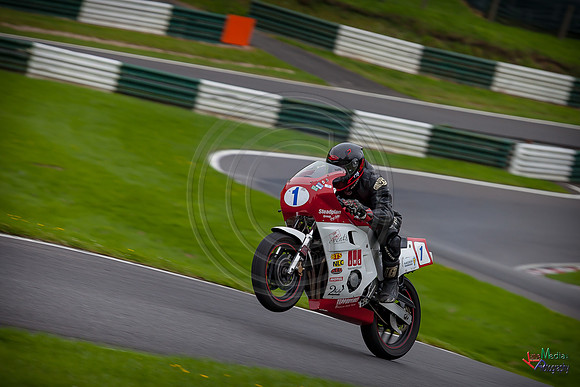 CP_2017_CF-3099