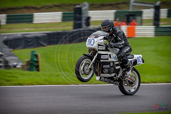 CP_2017_CF-3113