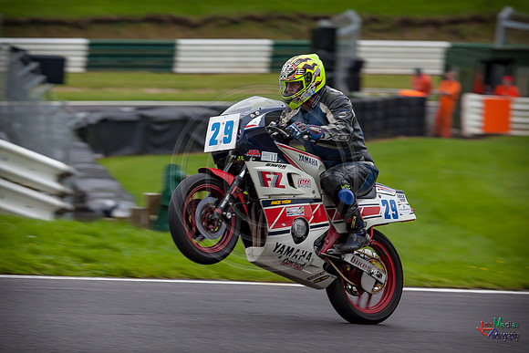 CP_2017_CF-3155