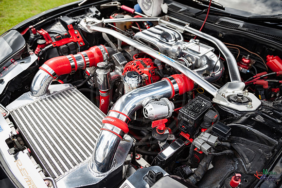 Photographs from Pistons in the Park event