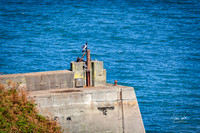 Photography from Port Isaac, England, UK