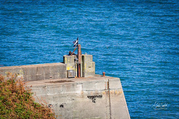 Photography from Port Isaac, England, UK