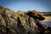 Photographs from around Padstow UK
