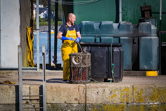 Photographs from around Padstow UK