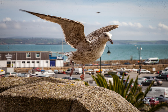 Photographs of Penzance UK