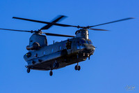 IMG_6776