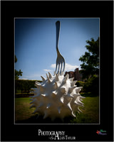 Art photography, Lincoln, UK