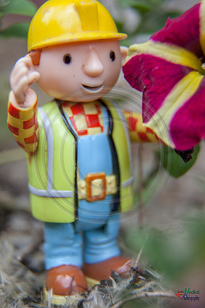 Bob_Builder_1-HDR