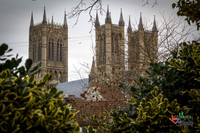 Lincoln Market