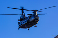 IMG_6773