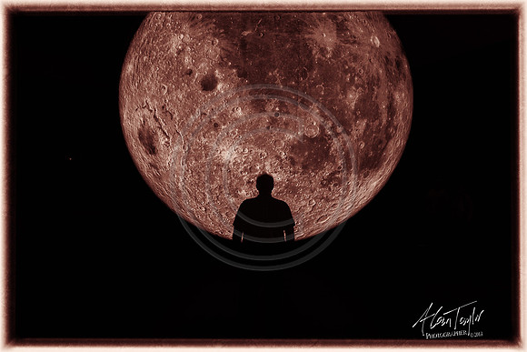 Museum of the Moon | The Collection