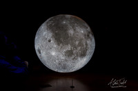 Museum of the Moon | The Collection