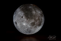 Museum of the Moon | The Collection