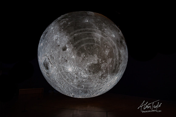 Museum of the Moon | The Collection