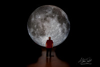 Museum of the Moon | The Collection