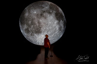 Museum of the Moon | The Collection