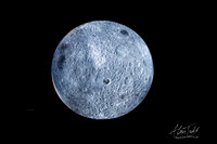 Museum of the Moon | The Collection