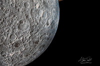 Museum of the Moon | The Collection