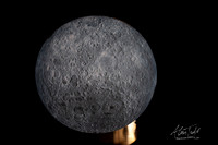 Museum of the Moon | The Collection