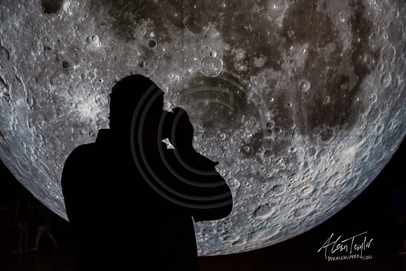 Museum of the Moon | The Collection