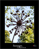 Art photography, Lincoln, UK