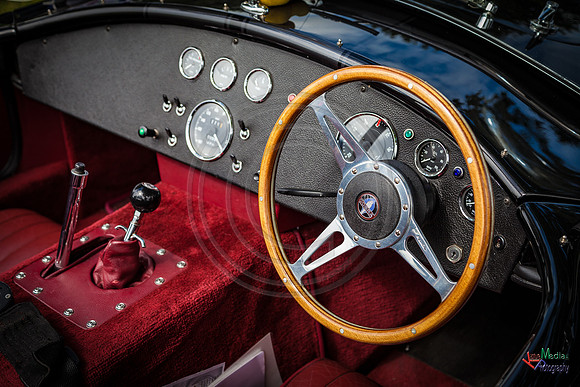Photographs from Pistons in the Park event