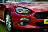 Photographs from Pistons in the Park event